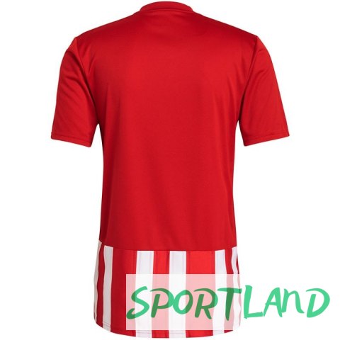 Koszulka adidas Striped 21 Jersey M GN7624 S Koszulka adidas Striped 21 Jersey M GN7624 S