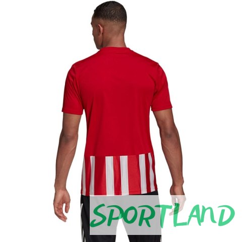 Koszulka adidas Striped 21 Jersey M GN7624 S Koszulka adidas Striped 21 Jersey M GN7624 S
