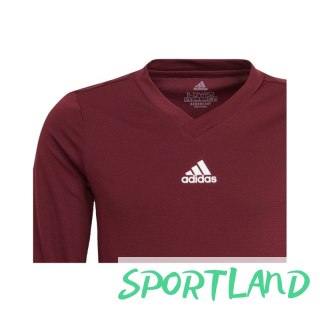 Koszulka adidas Team Base Tee Jr GN7510 152 cm