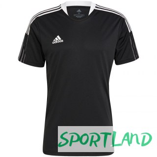 Koszulka adidas Tiro 21 Training Jersey M GM7586 S