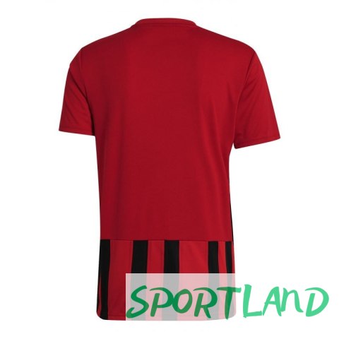 Koszulka adidas Striped 21 M GV1381 XL (188cm) Koszulka adidas Striped 21 M GV1381 XL (188cm)