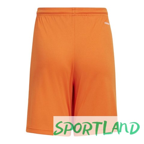 Spodenki adidas Squadra 21 Jr GN8082 164 Spodenki adidas Squadra 21 Jr GN8082 164