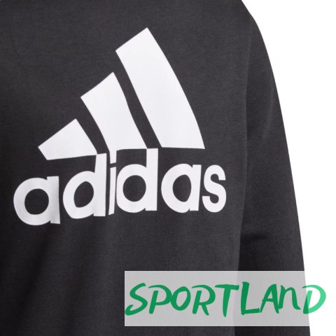Bluza adidas Essentials Full-Zip Hoodie Jr GN4020 152 Bluza adidas Essentials Full-Zip Hoodie Jr GN4020 152
