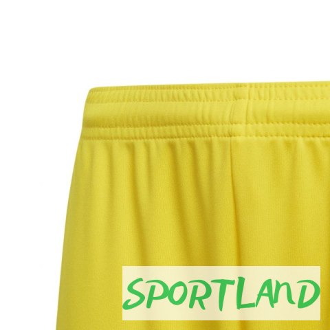 Spodenki adidas Squadra 21 Short Youth Jr GN5760 164 Spodenki adidas Squadra 21 Short Youth Jr GN5760 164