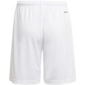Spodenki adidas Squadra 21 Short Youth Jr GN5765 128 cm