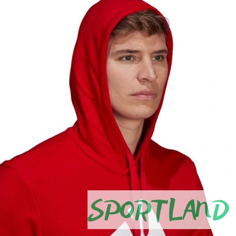 Bluza adidas Essentials Big Logo M GV0249 S Bluza adidas Essentials Big Logo M GV0249 S