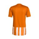 Koszulka adidas Striped 21 M H35642 M Koszulka adidas Striped 21 M H35642 M