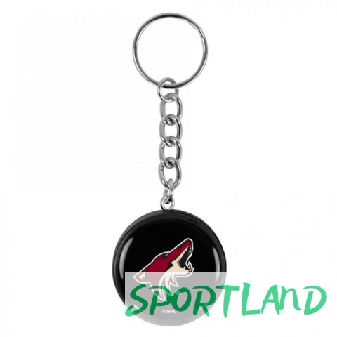 Brelok Inglasco NHL 550AN000136 Dallas Stars Brelok Inglasco NHL 550AN000136 Dallas Stars