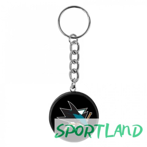 Brelok Inglasco NHL 550AN000136 Dallas Stars Brelok Inglasco NHL 550AN000136 Dallas Stars