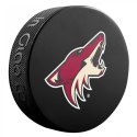 Pamiątka Krążek hokejowy Inglasco NHL Basic 510AN000400 Panthers