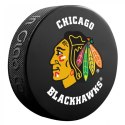 Pamiątka Krążek hokejowy Inglasco NHL Basic 510AN000400 Panthers