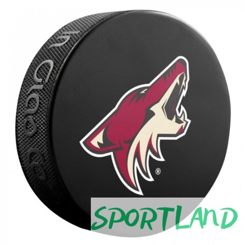 Pamiątka Krążek hokejowy Inglasco NHL Basic 510AN000400 Nashville Predators Pamiątka Krążek hokejowy Inglasco NHL Basic 510AN000400 Nashville Predators