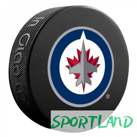 Pamiątka Krążek hokejowy Inglasco NHL Basic 510AN000400 Nashville Predators Pamiątka Krążek hokejowy Inglasco NHL Basic 510AN000400 Nashville Predators
