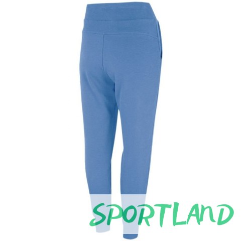 Spodnie 4F W NOSH4-SPDD350 32S 2XL