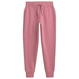 Spodnie 4F W NOSH4 SPDD351 56S 2XL