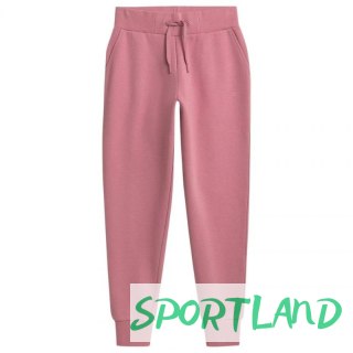 Spodnie 4F W NOSH4 SPDD351 56S 2XL
