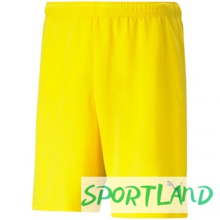 Spodenki Puma teamRISE Cyber M 704942 07 2XL