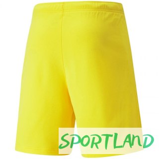 Spodenki Puma teamRISE Cyber M 704942 07 M