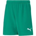 Spodenki Puma teamRISE Short Jr 704943 05 140cm Spodenki Puma teamRISE Short Jr 704943 05 140cm