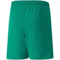 Spodenki Puma teamRISE Short Jr 704943 05 140cm Spodenki Puma teamRISE Short Jr 704943 05 140cm