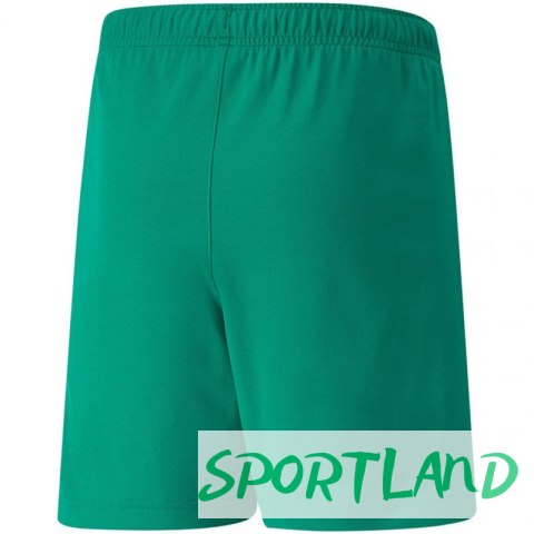 Spodenki Puma teamRISE Short Jr 704943 05 164cm Spodenki Puma teamRISE Short Jr 704943 05 164cm