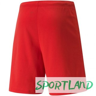 Spodenki Puma teamRISE Short M 704942 01 2XL