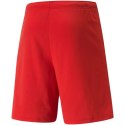 Spodenki Puma teamRISE Short M 704942 01 M