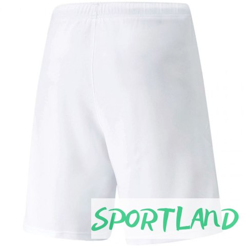 Spodenki Puma teamRISE Short M 704942 03 M Spodenki Puma teamRISE Short M 704942 03 M