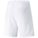 Spodenki Puma teamRISE Short M 704942 03 S Spodenki Puma teamRISE Short M 704942 03 S