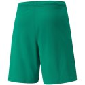 Spodenki Puma teamRISE Short M 704942 05 M