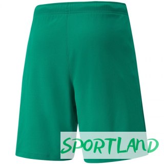 Spodenki Puma teamRISE Short M 704942 05 M