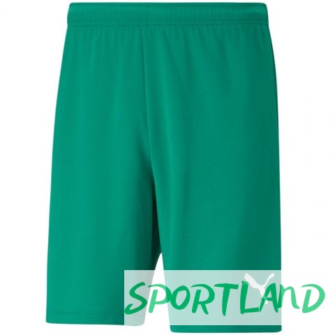 Spodenki Puma teamRISE Short M 704942 05 S Spodenki Puma teamRISE Short M 704942 05 S
