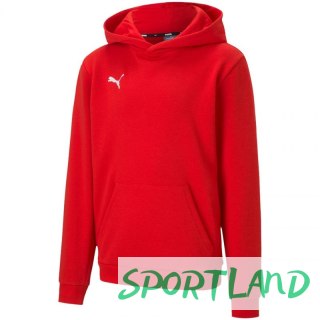Bluza Puma teamGOAL 23 Casuals Hoody Jr 656711 01 140