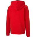 Bluza Puma teamGOAL 23 Casuals Hoody Jr 656711 01 152