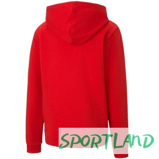 Bluza Puma teamGOAL 23 Casuals Hoody Jr 656711 01 152