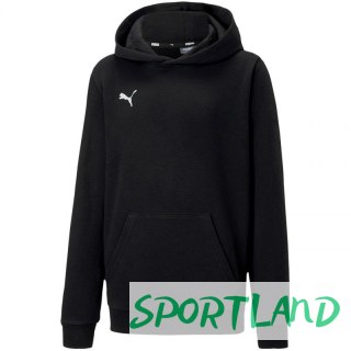 Bluza Puma teamGOAL 23 Casuals Hoody Jr 656711 03 128