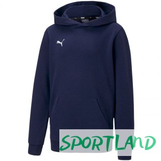 Bluza Puma teamGOAL 23 Casuals Hoody Jr 656711 06 152