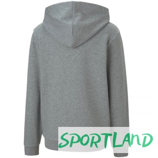 Bluza Puma teamGOAL 23 Casuals Hoody Jr 656711 33 116