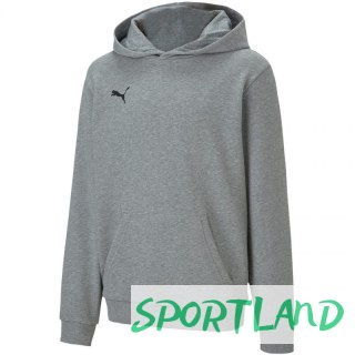Bluza Puma teamGOAL 23 Casuals Hoody Jr 656711 33 140