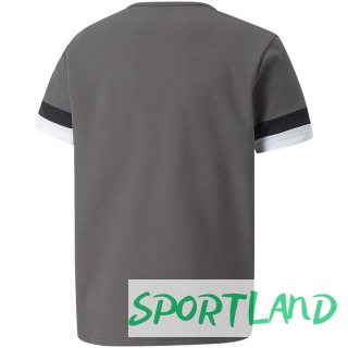 Koszulka Puma teamRise Jersey Jr 704938 13 152