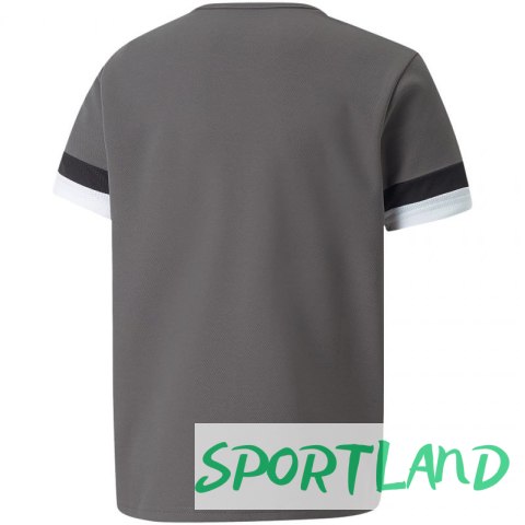 Koszulka Puma teamRise Jersey Jr 704938 13 152 Koszulka Puma teamRise Jersey Jr 704938 13 152