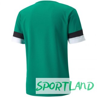 Koszulka Puma teamRise Jersey M 704932 05 S