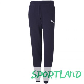 Spodnie Puma teamGoal 23 Casuals Pants Jr 656713 06 140