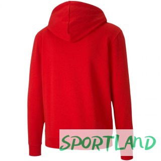 Bluza Puma teamGoal 23 Casuals Hooded Jacket M 656708 01 S