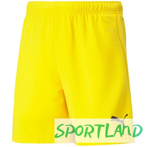 Spodenki Puma teamRise Short Jr 704943 07 164cm Spodenki Puma teamRise Short Jr 704943 07 164cm