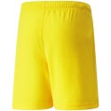 Spodenki Puma teamRise Short Jr 704943 07 176cm