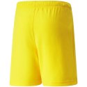 Spodenki Puma teamRise Short Jr 704943 07 176cm