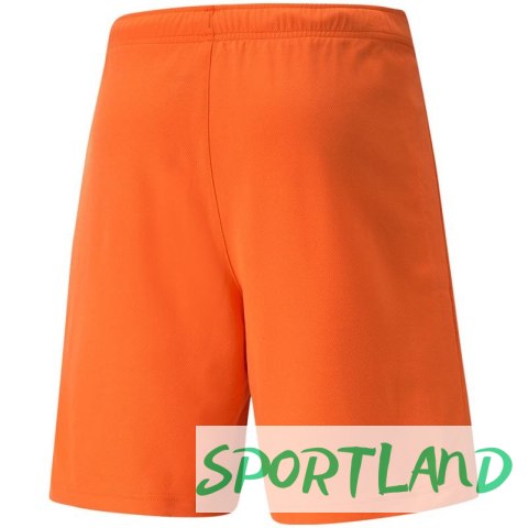 Spodenki Puma teamRise Short Prist M 704942 08 L