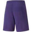Spodenki Puma teamRise Short Prist M 704942 10 S