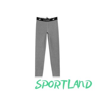 Spodnie 4F W H4L22-SPDF 351 średni szary melanż M
